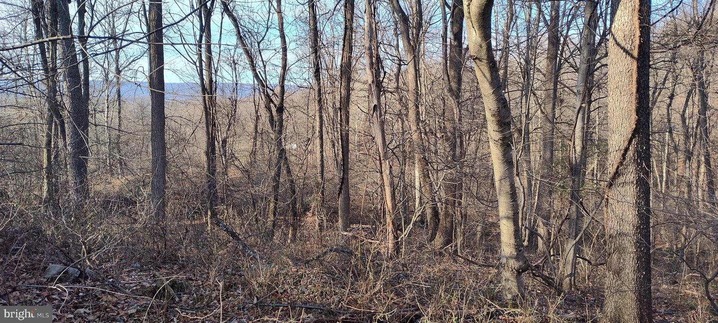 1339 Spruce Hill Rd Property Photo 70