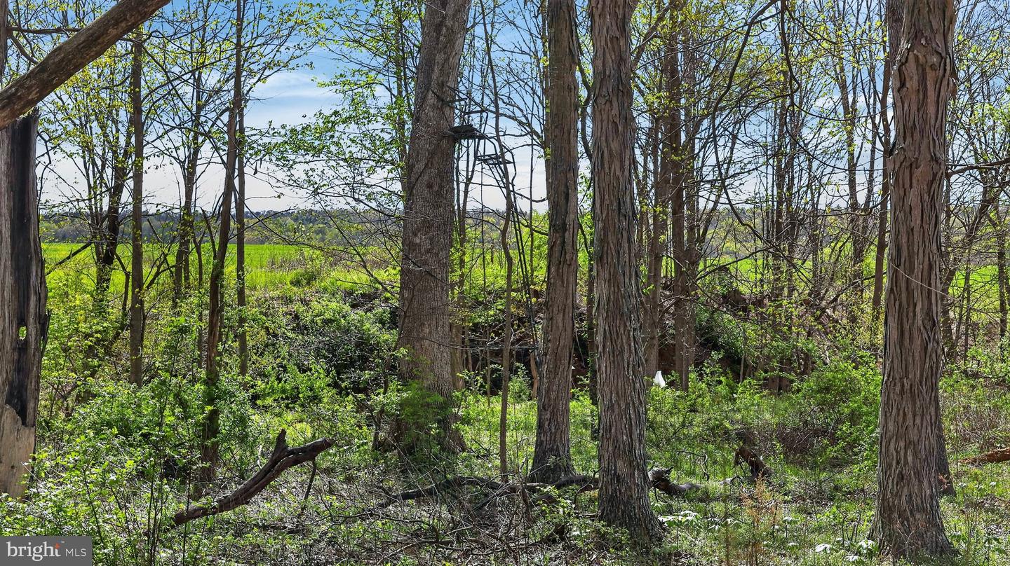 1824 Red Bank Rd Property Photo 44