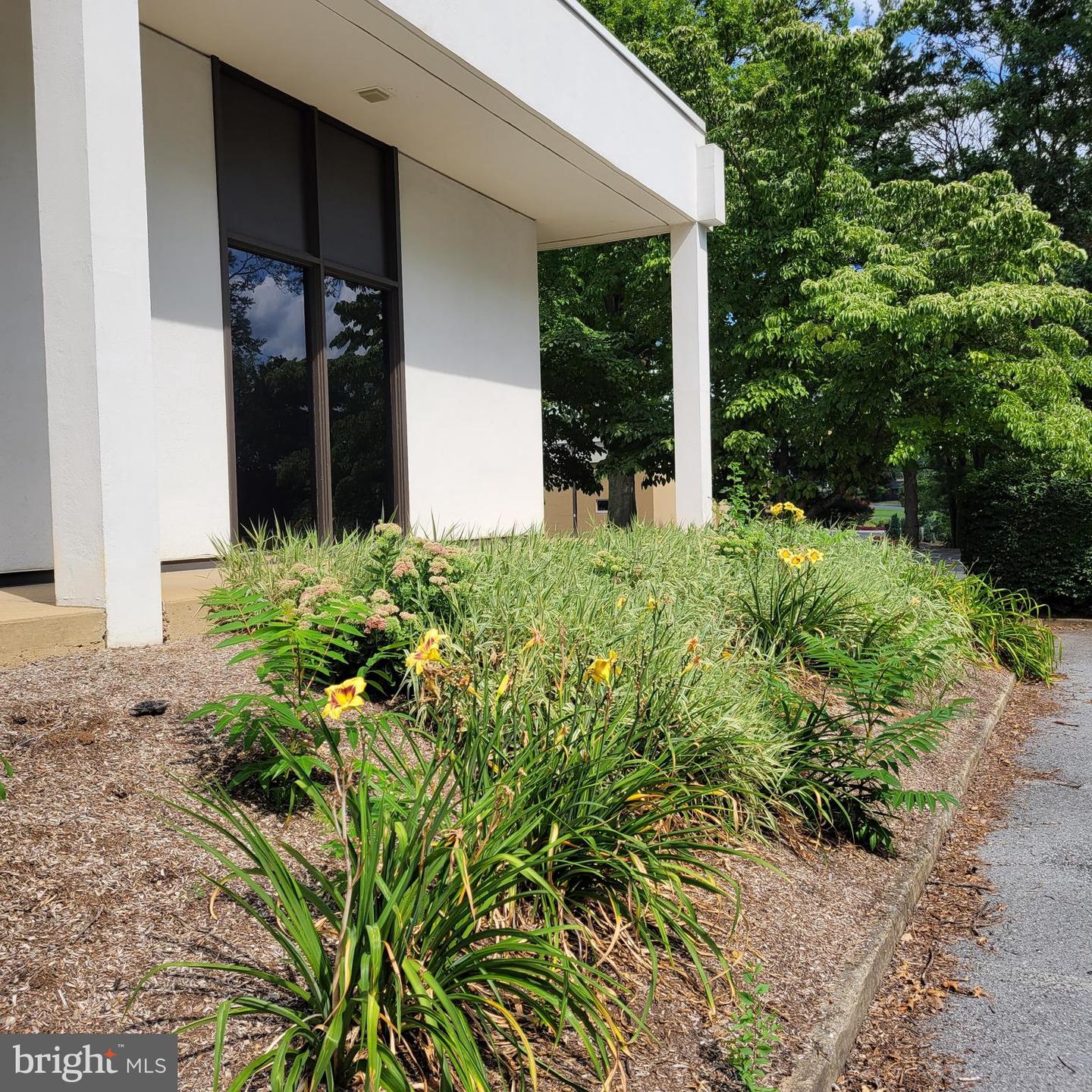 1630 Manheim Pike #3b Property Photo 3