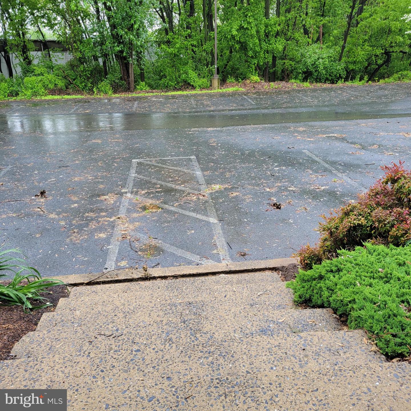 1630 Manheim Pike #3b Property Photo 4