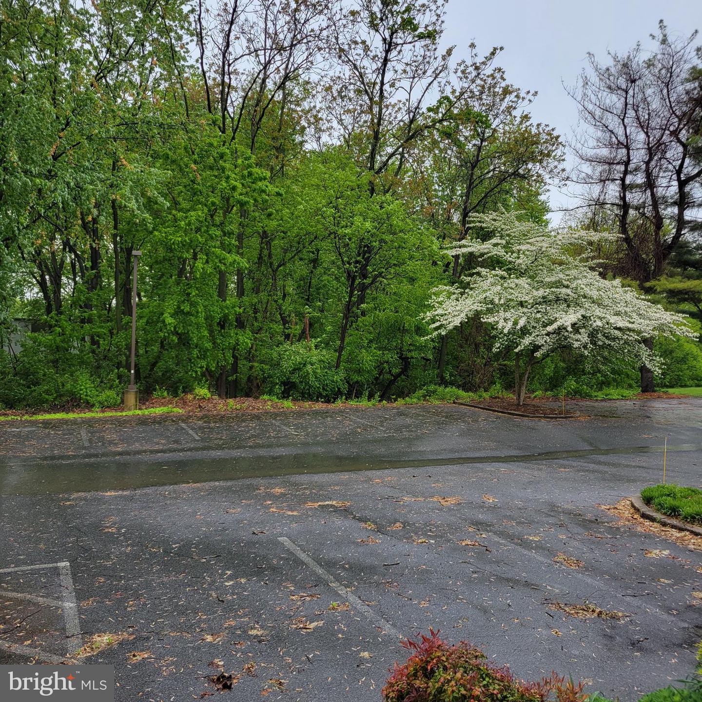 1630 Manheim Pike #3b Property Photo 28