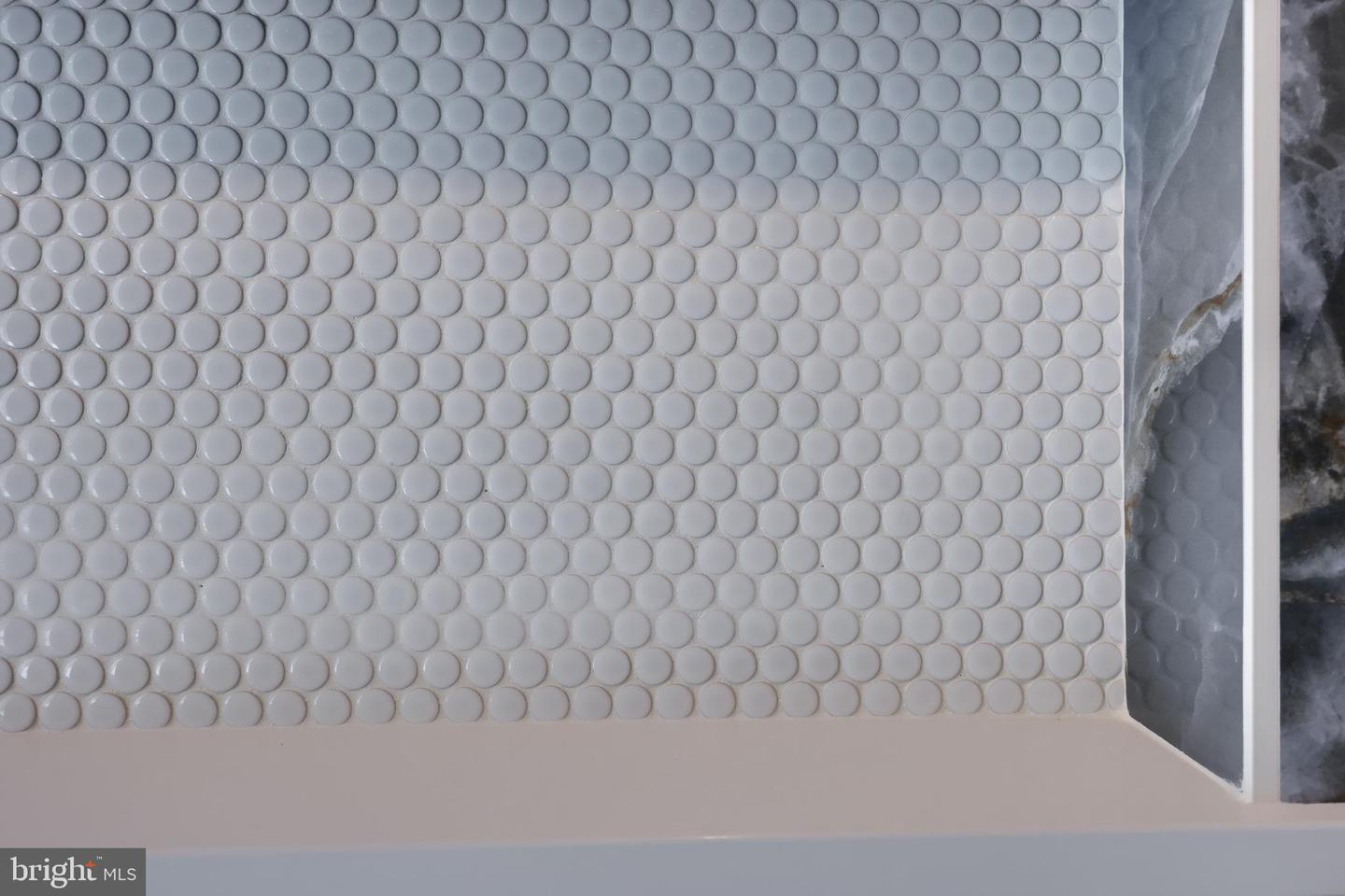 5824 Wild Lilac Drive Lot #11 Property Photo 39