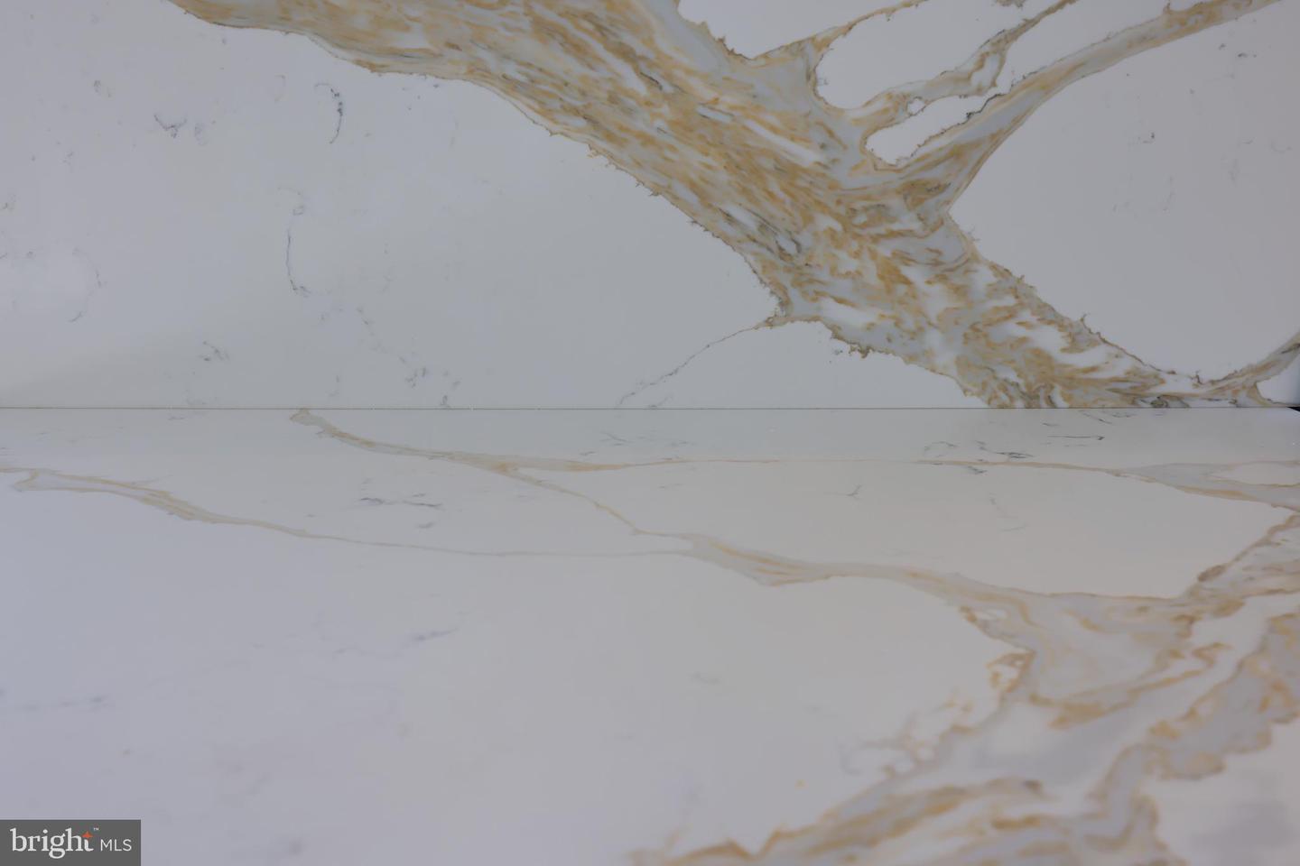 5824 Wild Lilac Drive Lot #11 Property Photo 62