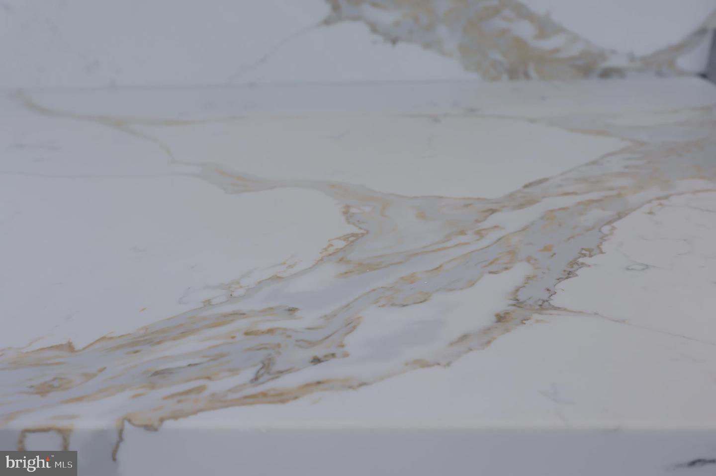 5824 Wild Lilac Drive Lot #11 Property Photo 63