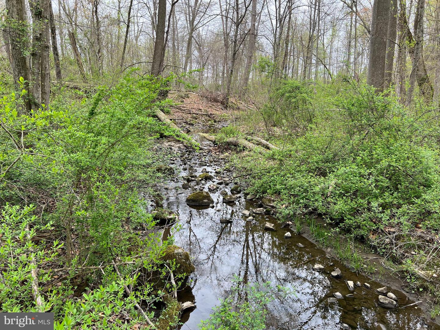 1005 Trail Rd N Property Photo 1