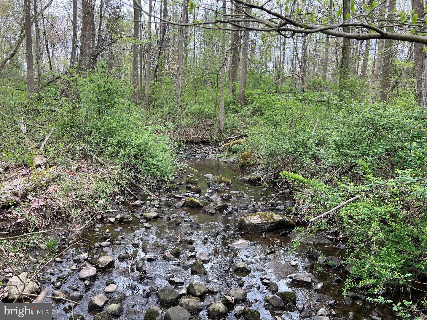 1005 Trail Rd N Property Photo 2