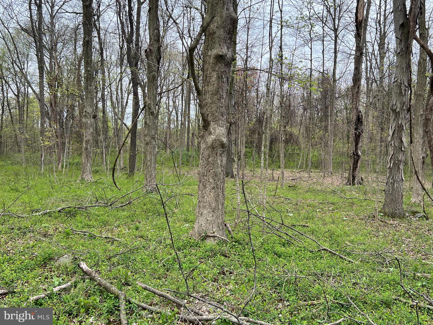 1005 Trail Rd N Property Photo 3