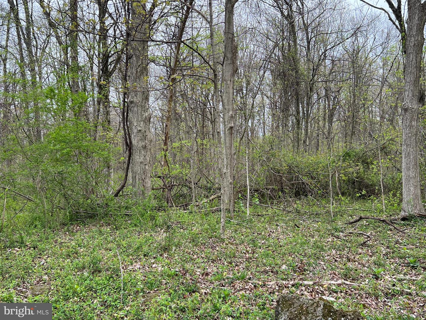 1005 Trail Rd N Property Photo 4