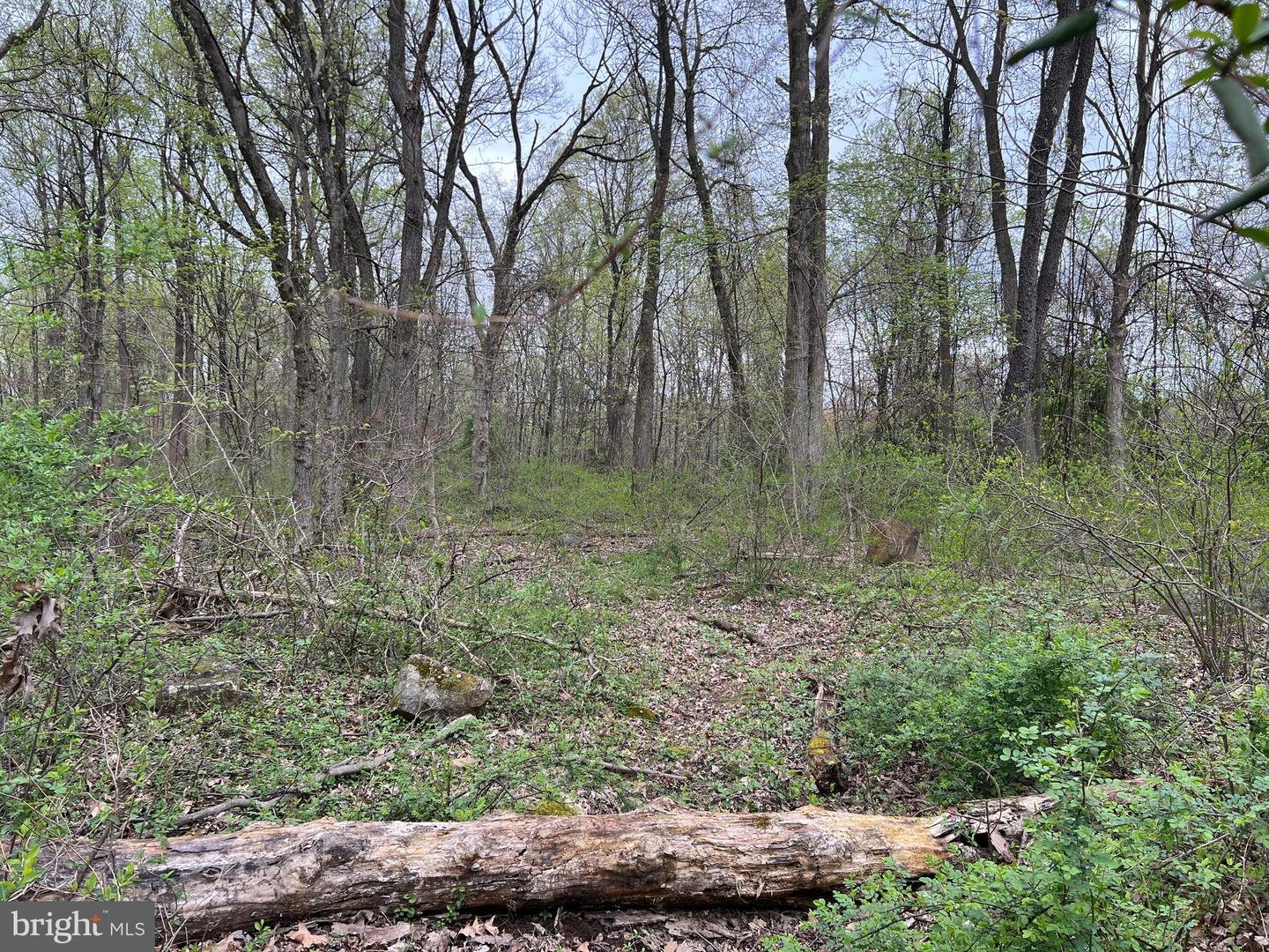 1005 Trail Rd N Property Photo 5