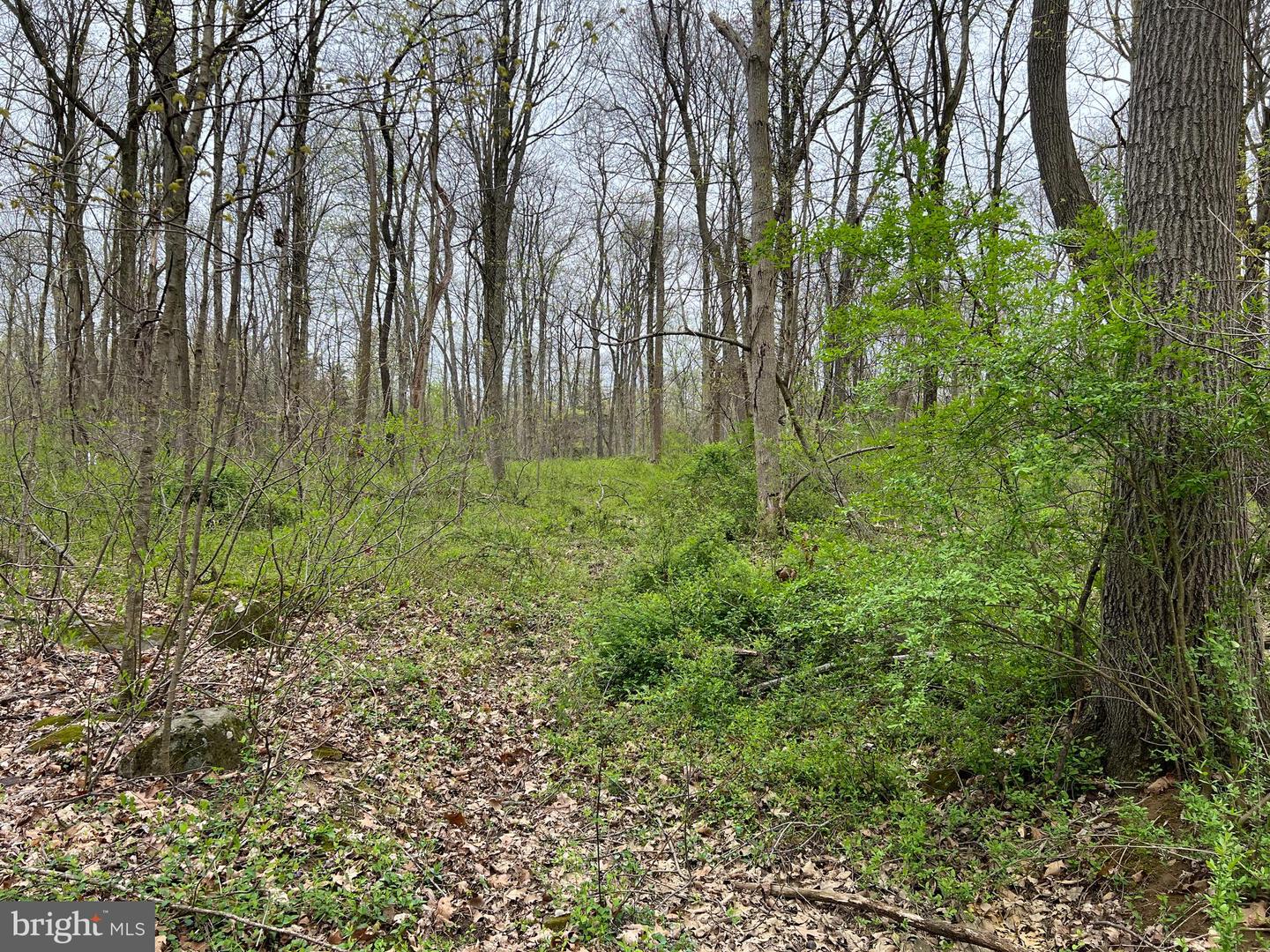 1005 Trail Rd N Property Photo 6