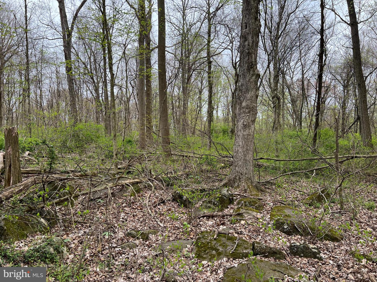 1005 Trail Rd N Property Photo 7