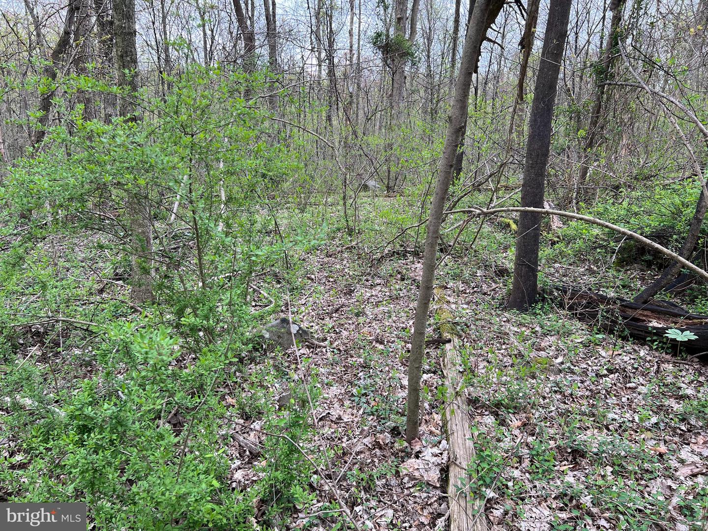 1005 Trail Rd N Property Photo 8