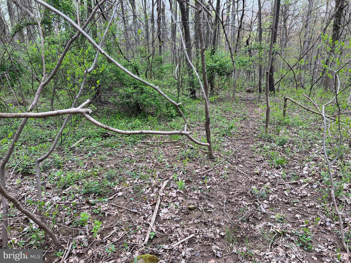 1005 Trail Rd N Property Photo 9