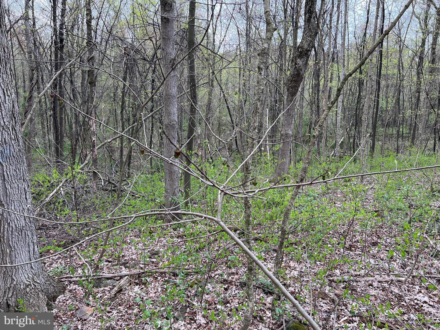 1005 Trail Rd N Property Photo 10