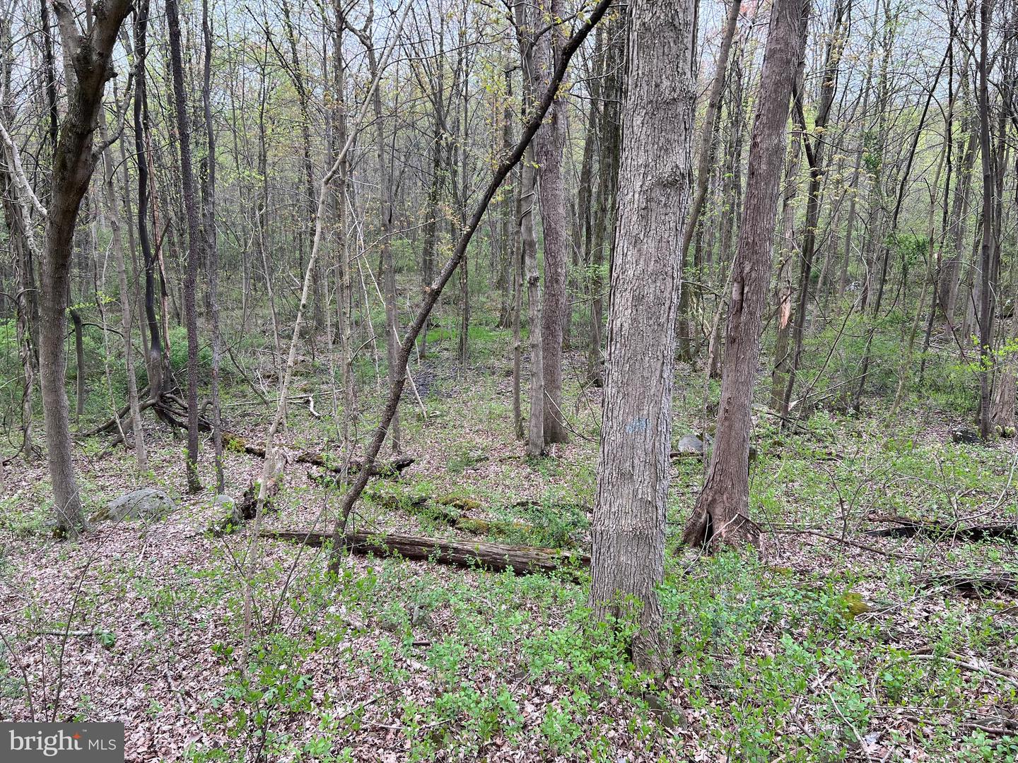 1005 Trail Rd N Property Photo 11