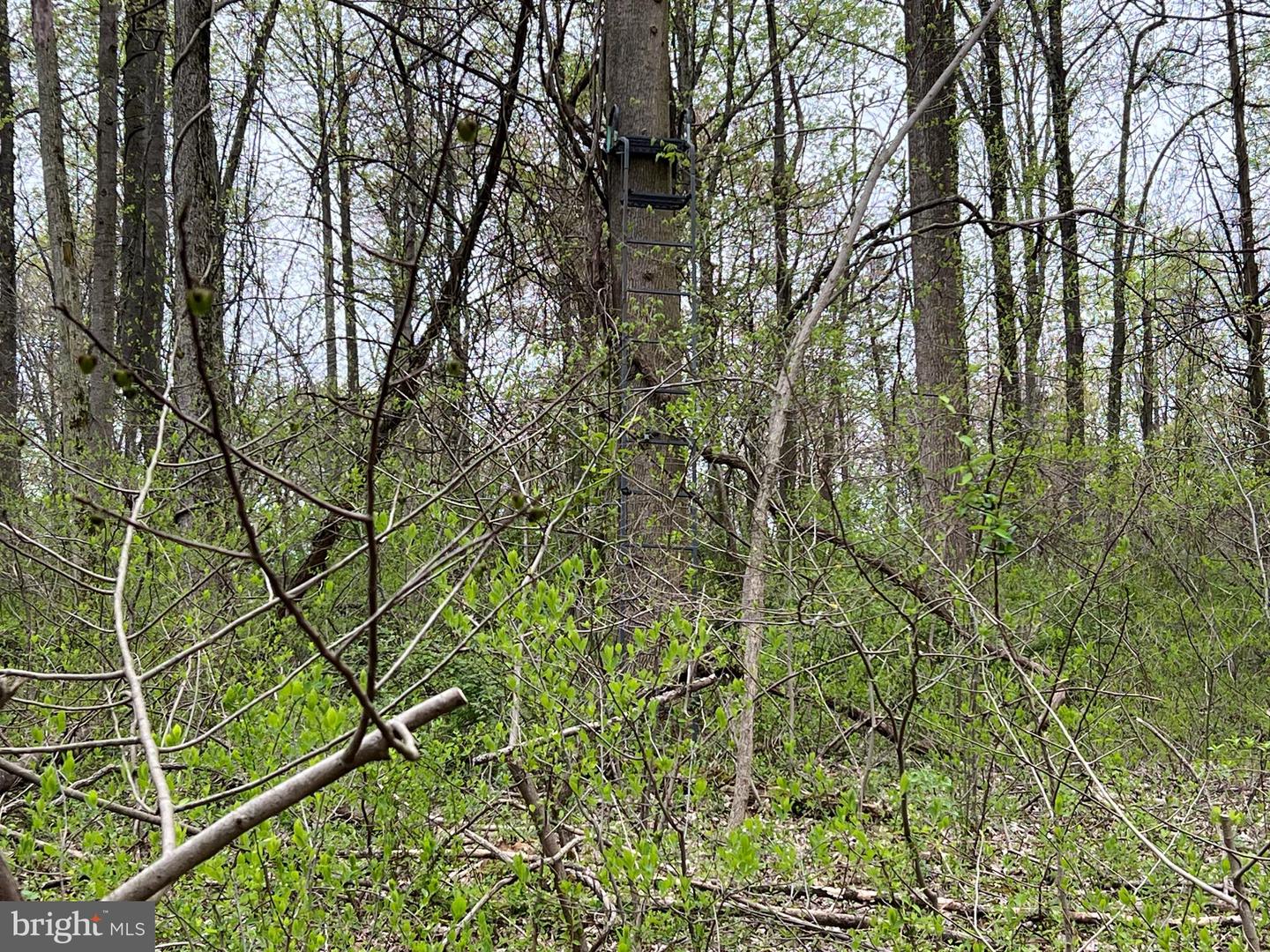 1005 Trail Rd N Property Photo 12