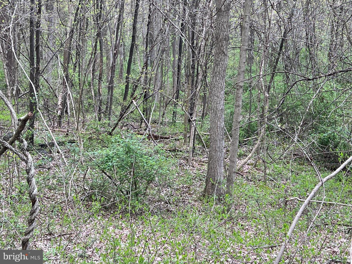 1005 Trail Rd N Property Photo 13