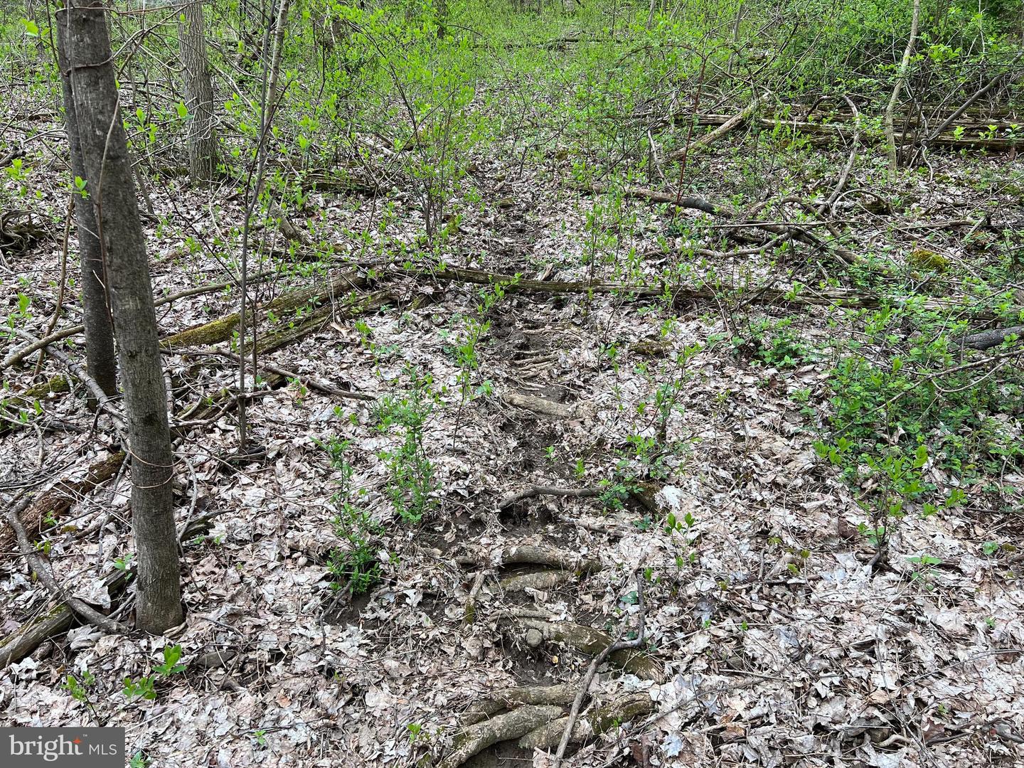 1005 Trail Rd N Property Photo 14
