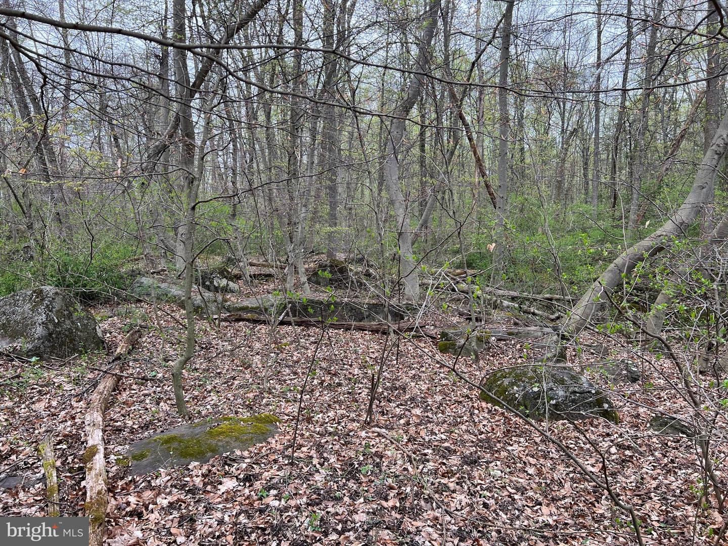1005 Trail Rd N Property Photo 16