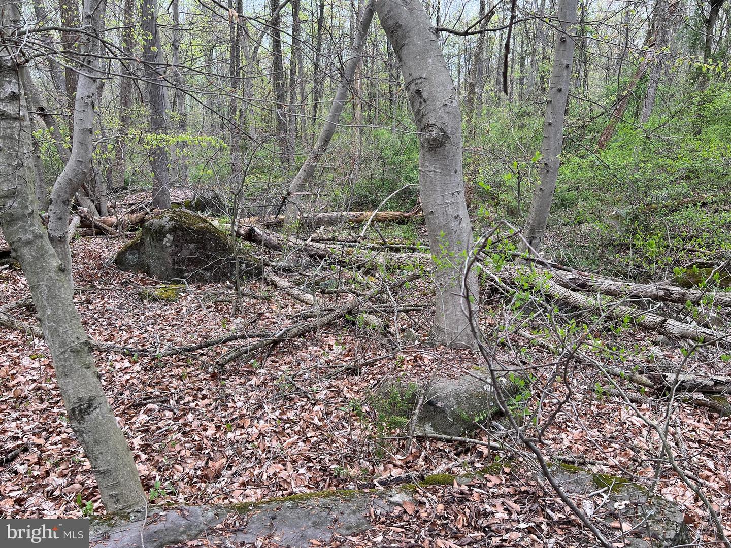 1005 Trail Rd N Property Photo 17