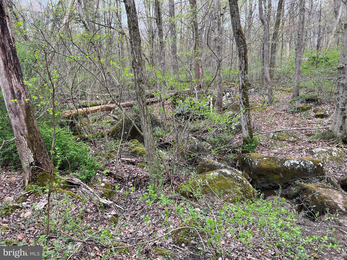 1005 Trail Rd N Property Photo 18
