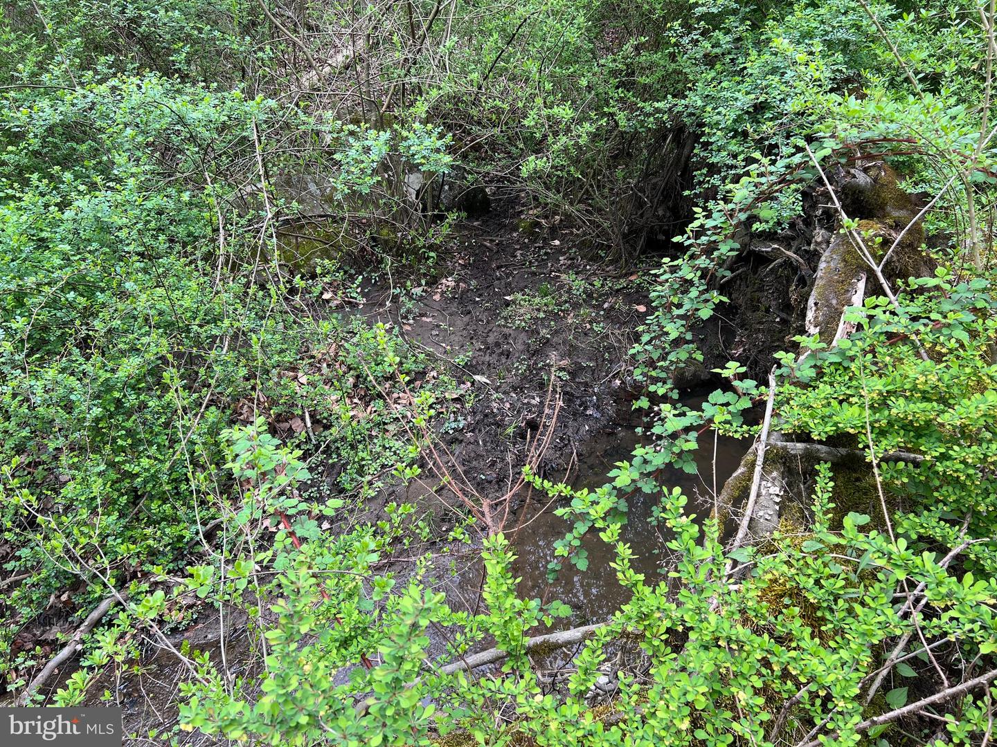 1005 Trail Rd N Property Photo 19