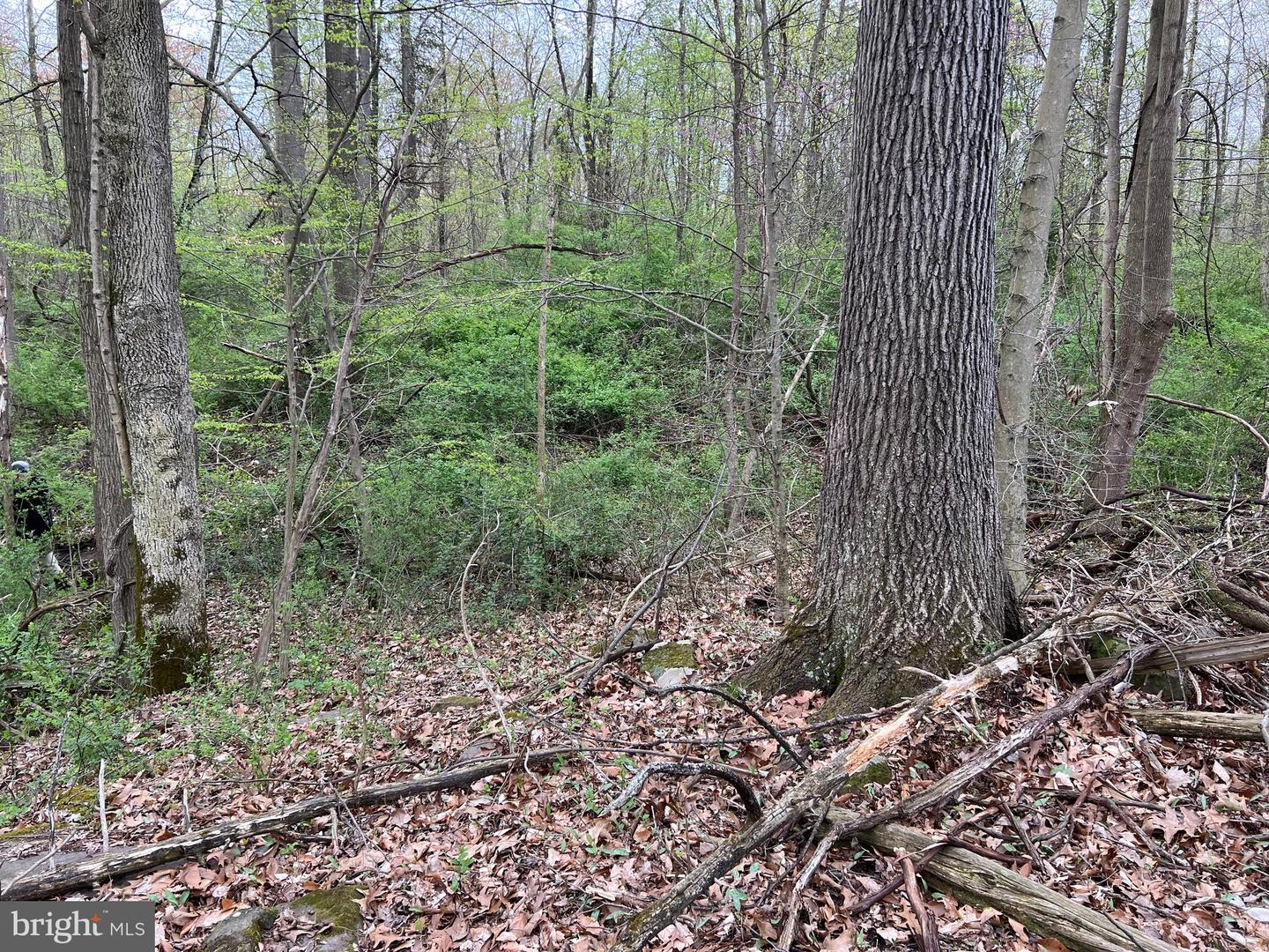 1005 Trail Rd N Property Photo 23