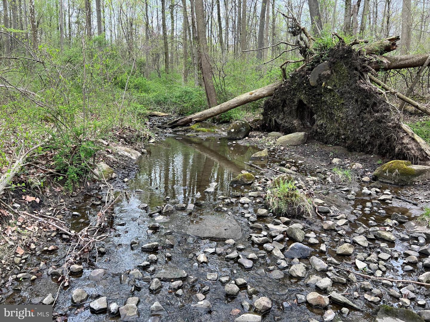 1005 Trail Rd N Property Photo 24