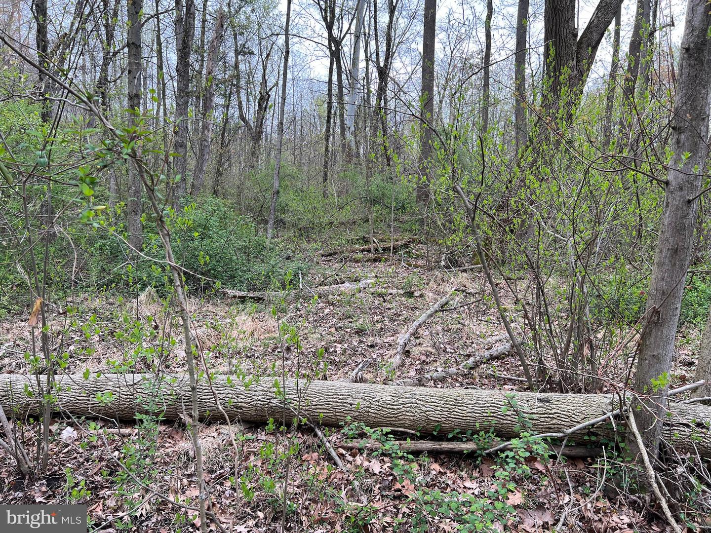 1005 Trail Rd N Property Photo 25