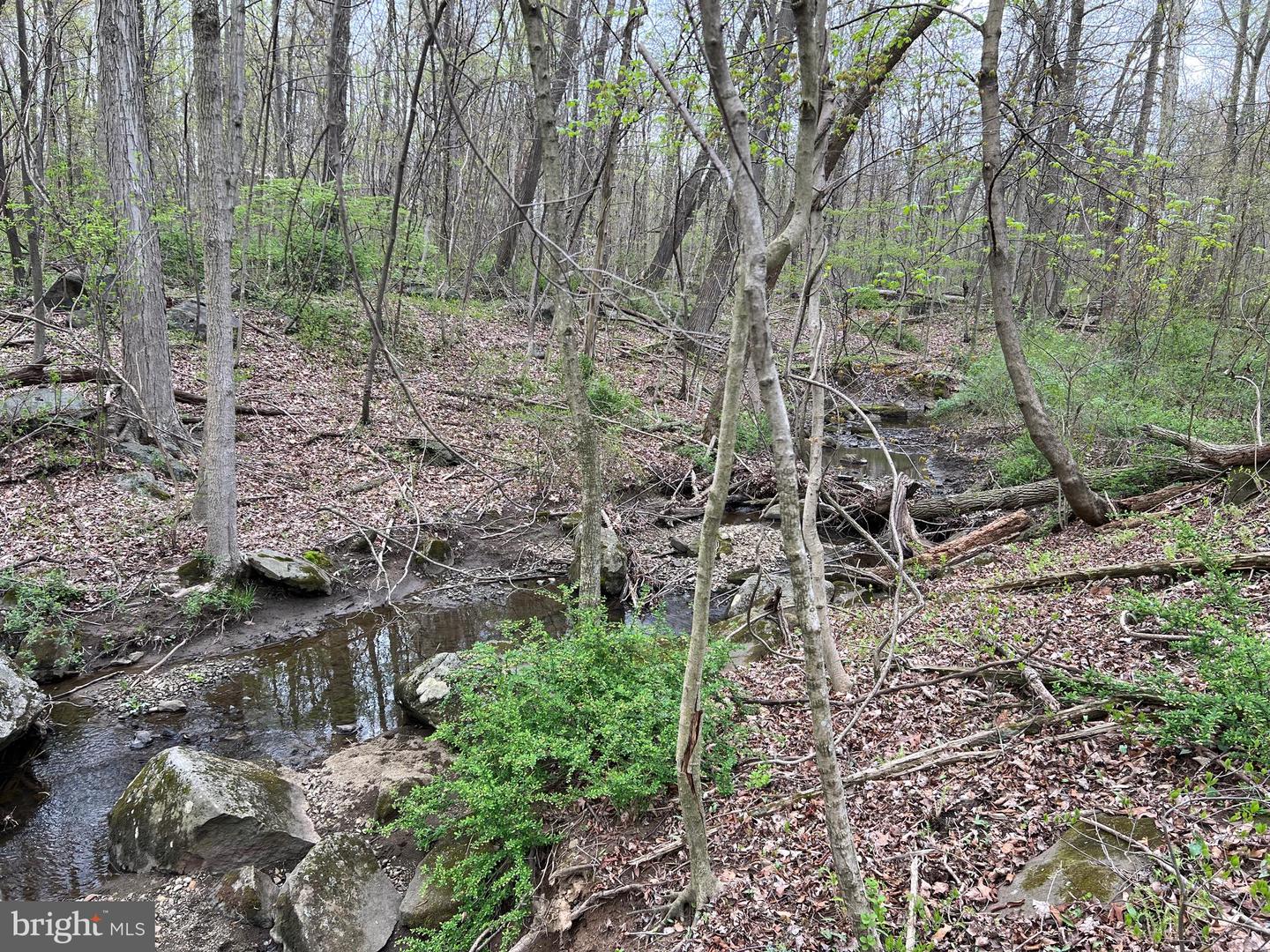 1005 Trail Rd N Property Photo 29