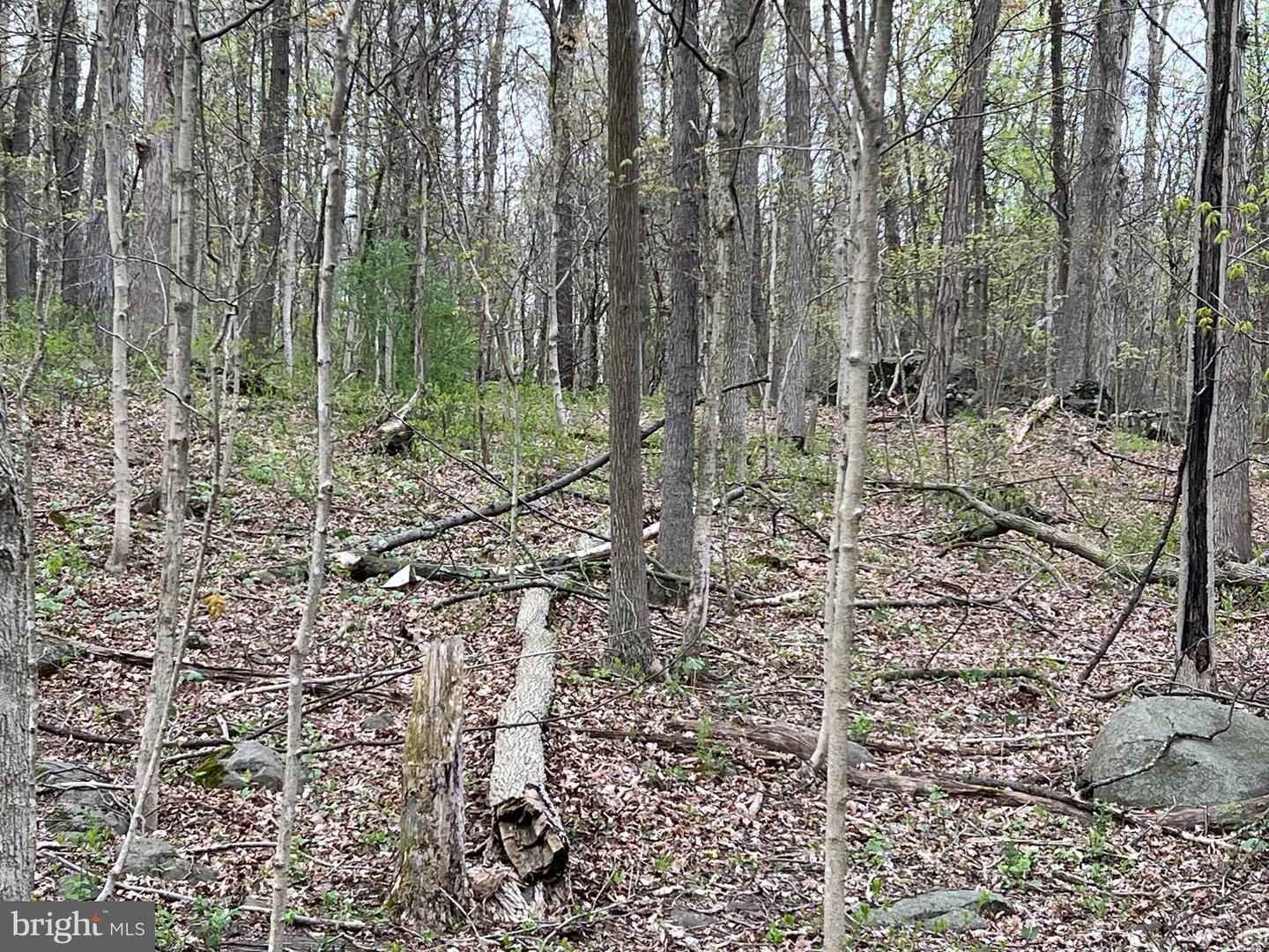 1005 Trail Rd N Property Photo 33