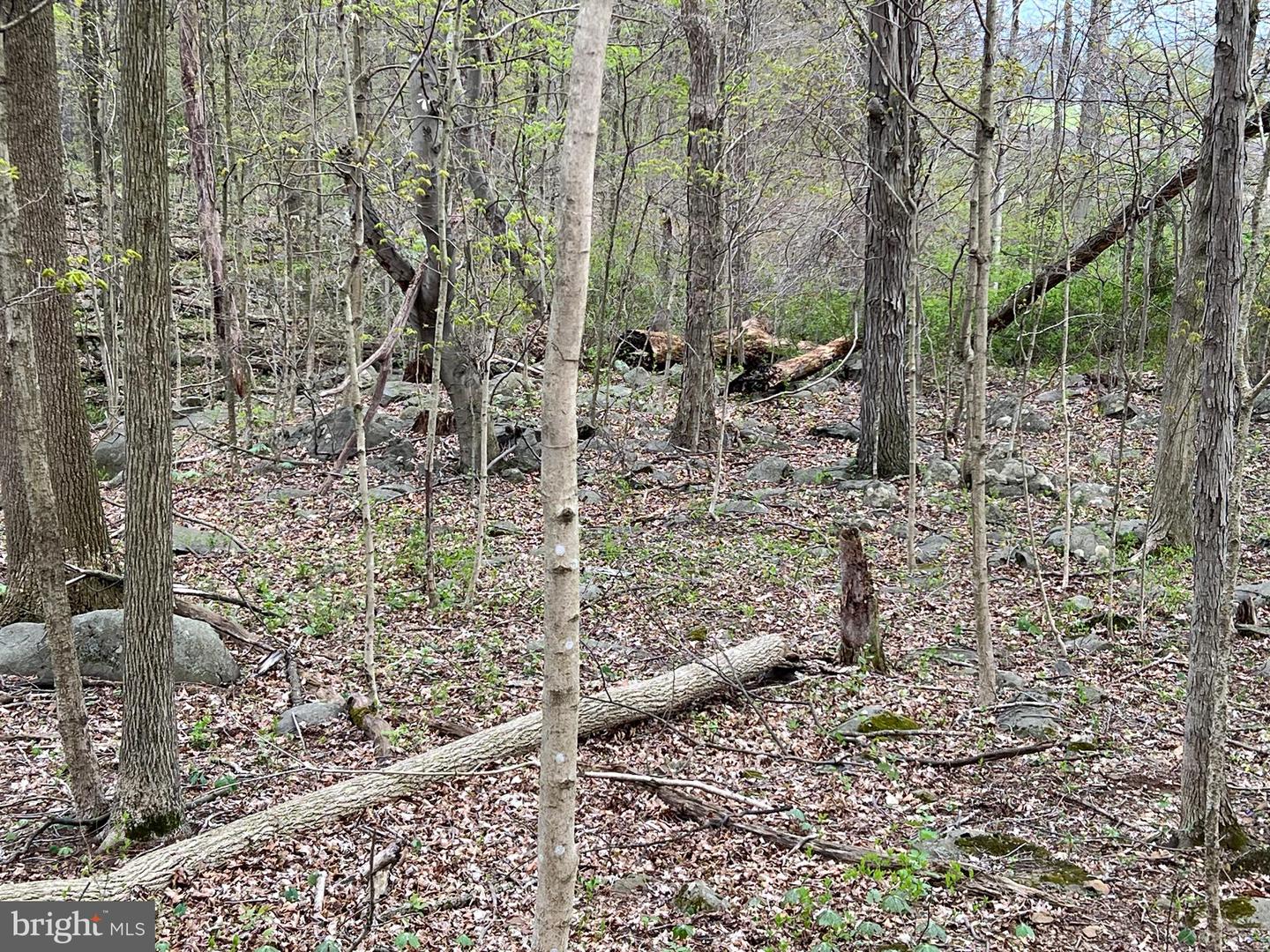 1005 Trail Rd N Property Photo 34