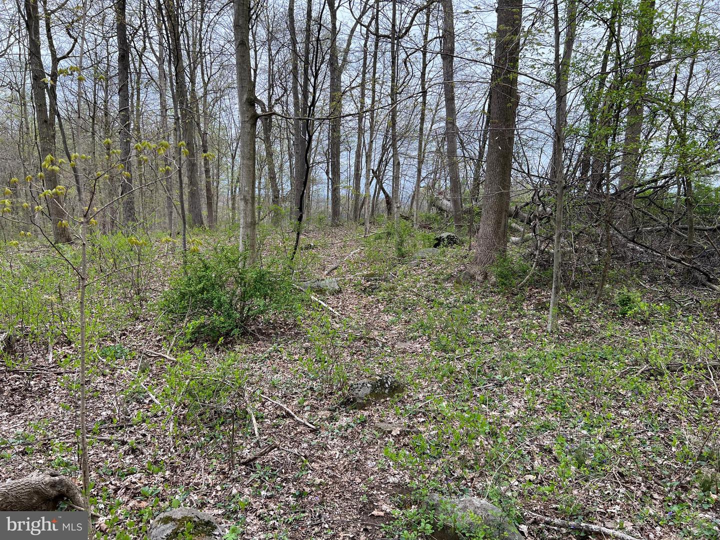 1005 Trail Rd N Property Photo 35