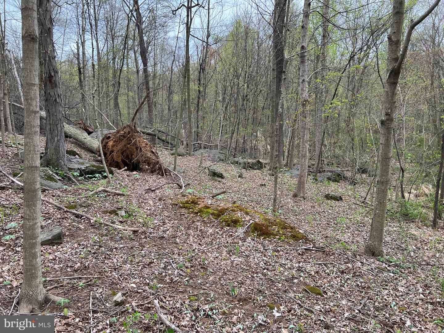 1005 Trail Rd N Property Photo 36
