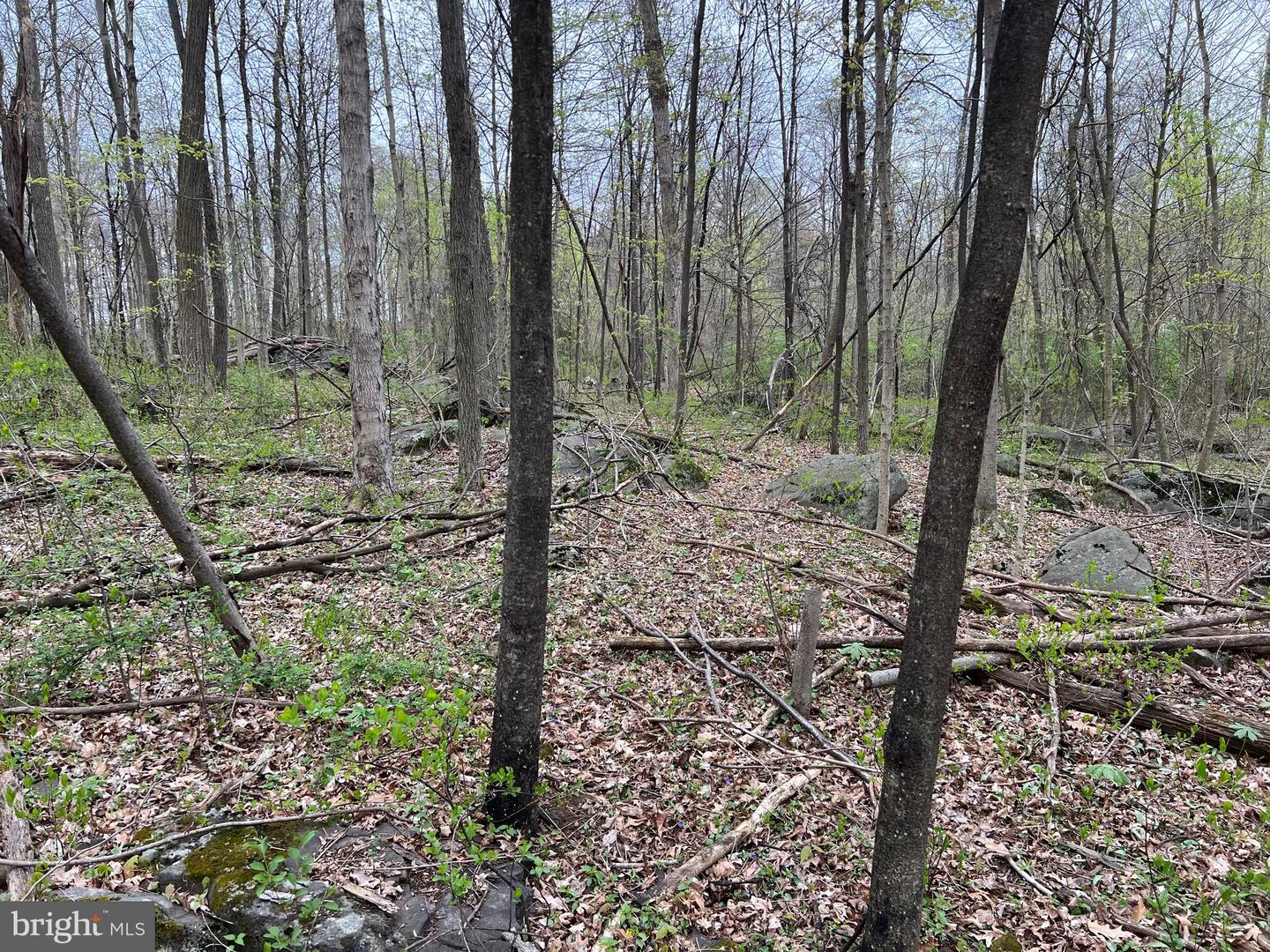 1005 Trail Rd N Property Photo 37