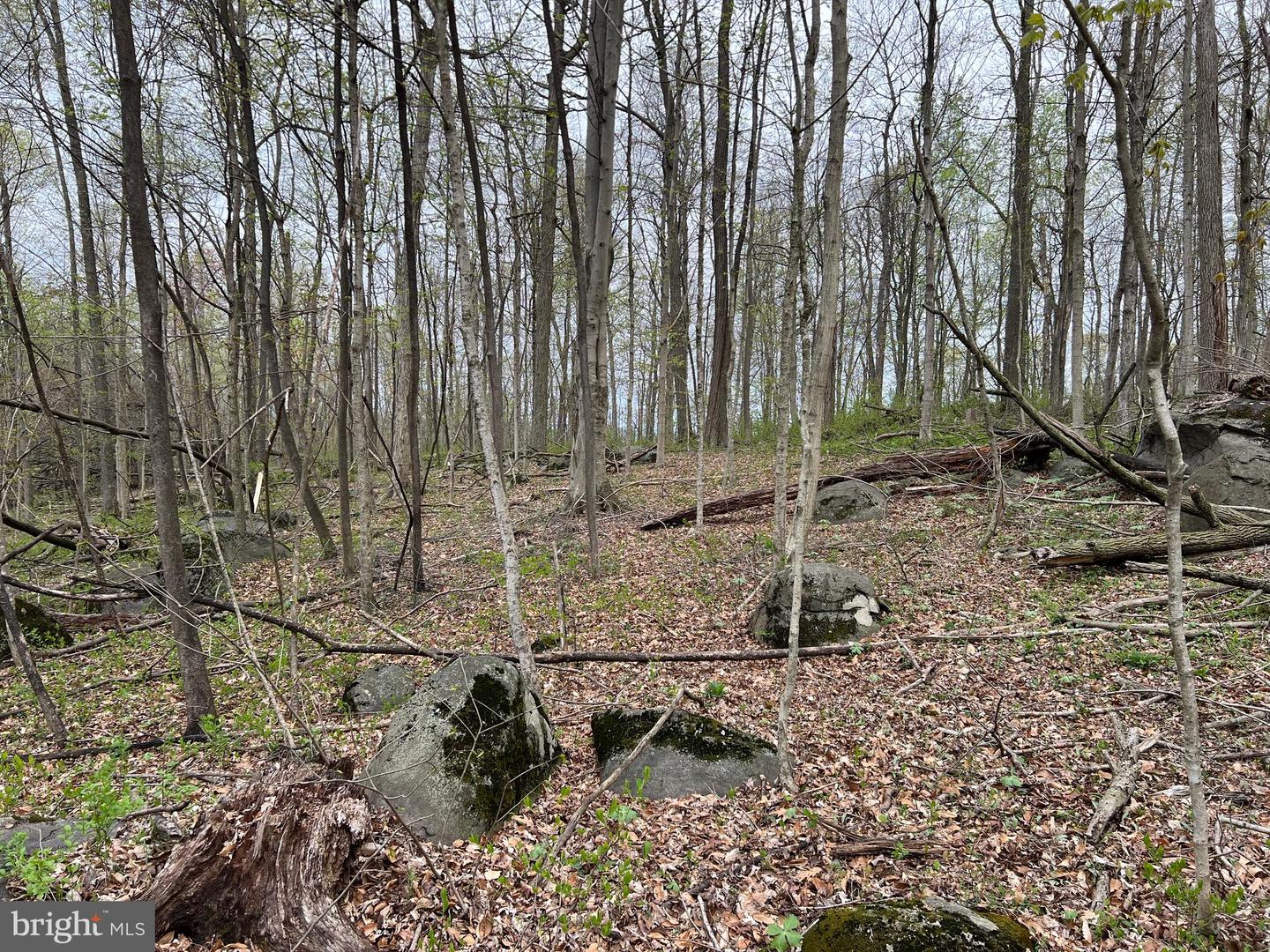 1005 Trail Rd N Property Photo 38