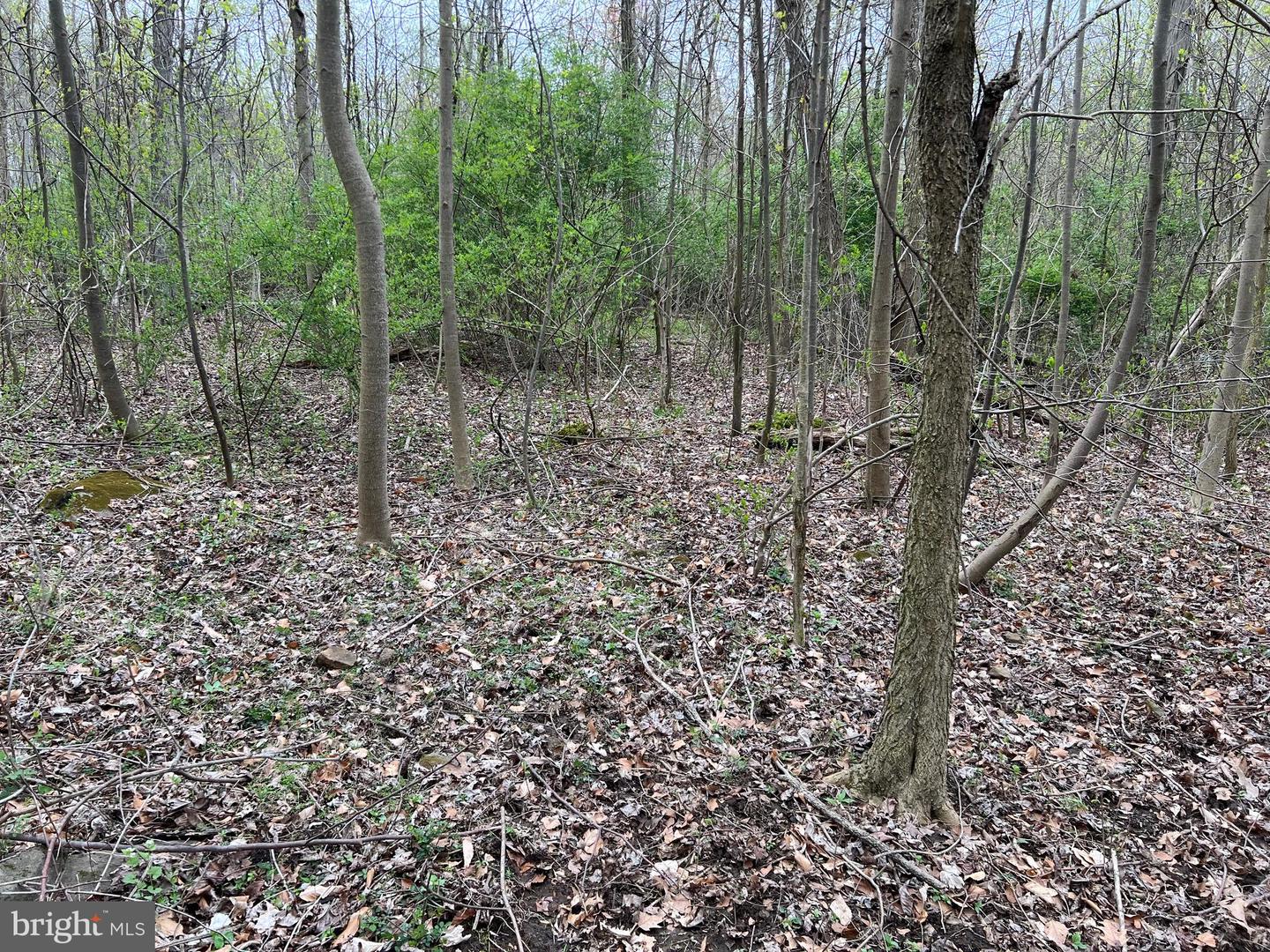 1005 Trail Rd N Property Photo 39