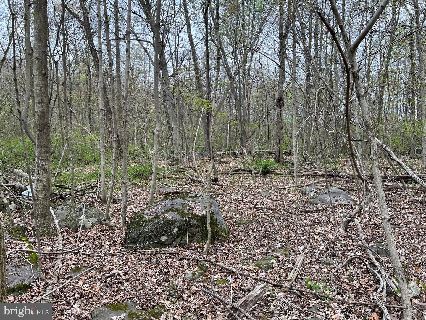 1005 Trail Rd N Property Photo 40