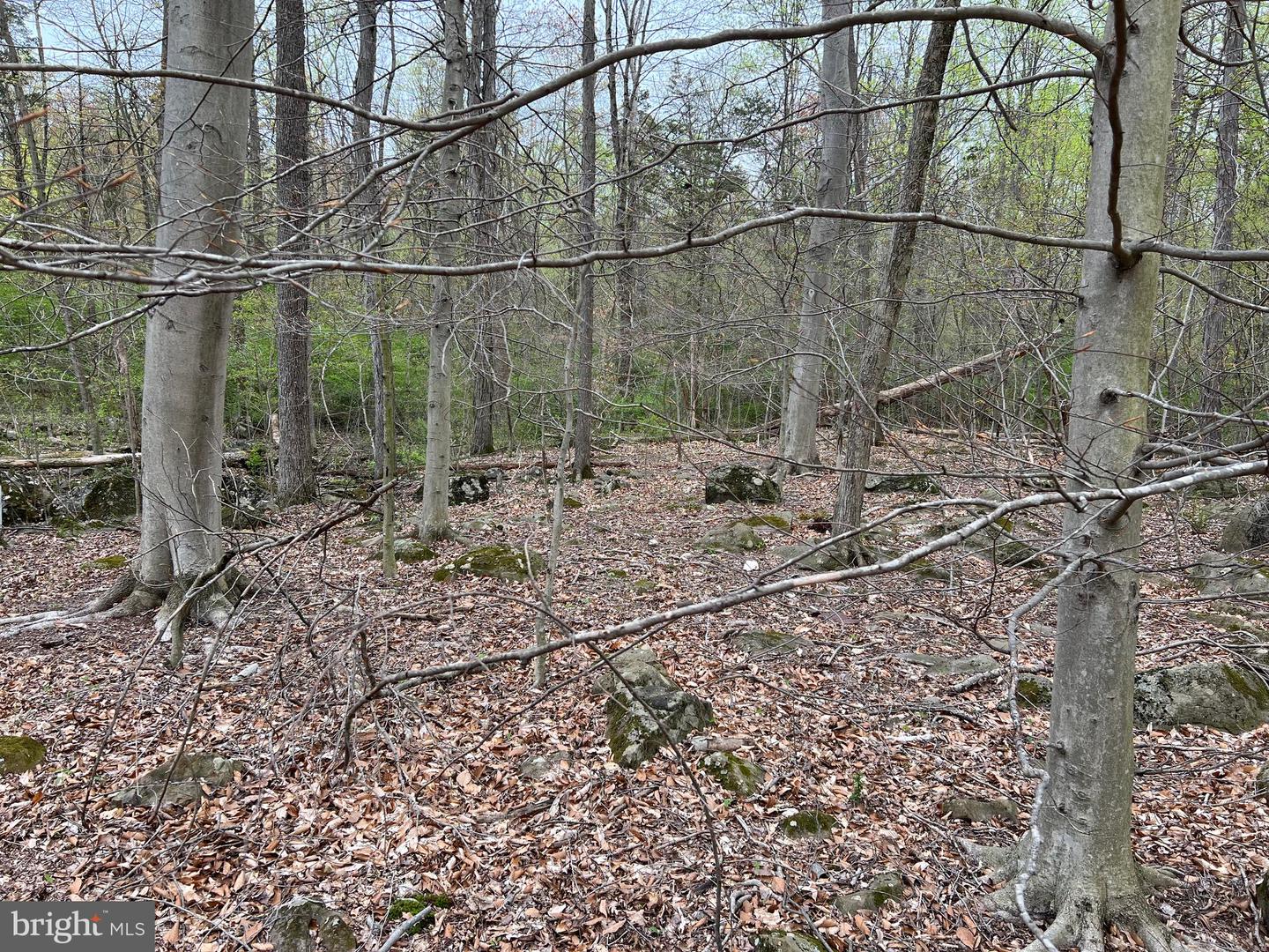 1005 Trail Rd N Property Photo 41