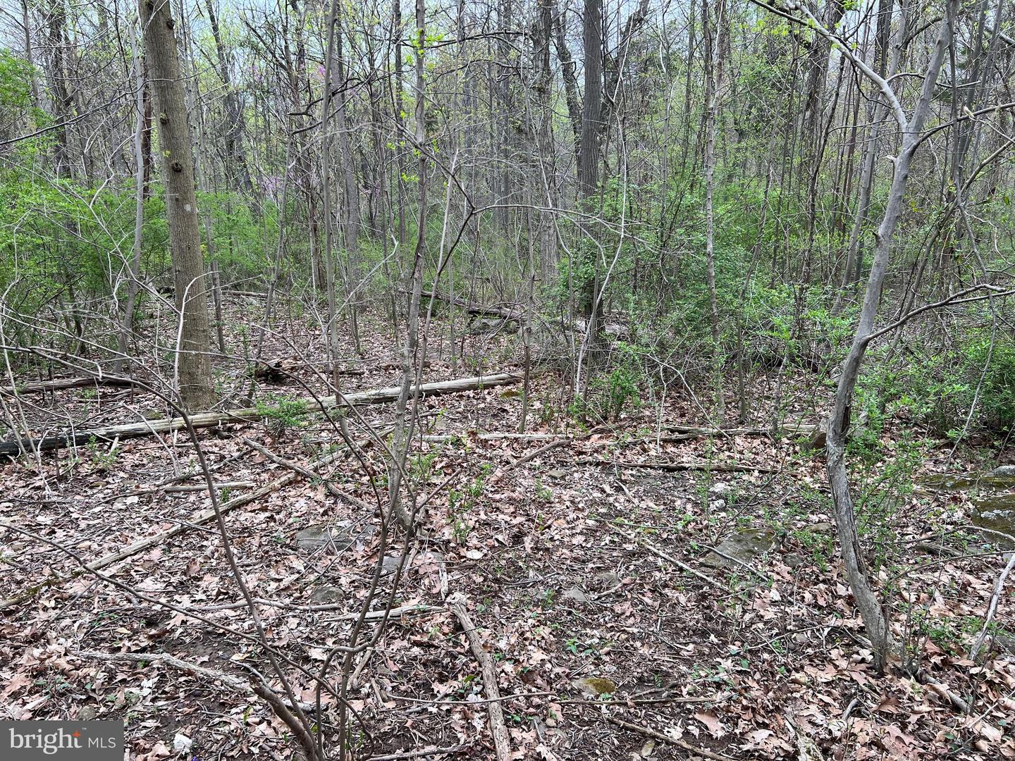 1005 Trail Rd N Property Photo 42
