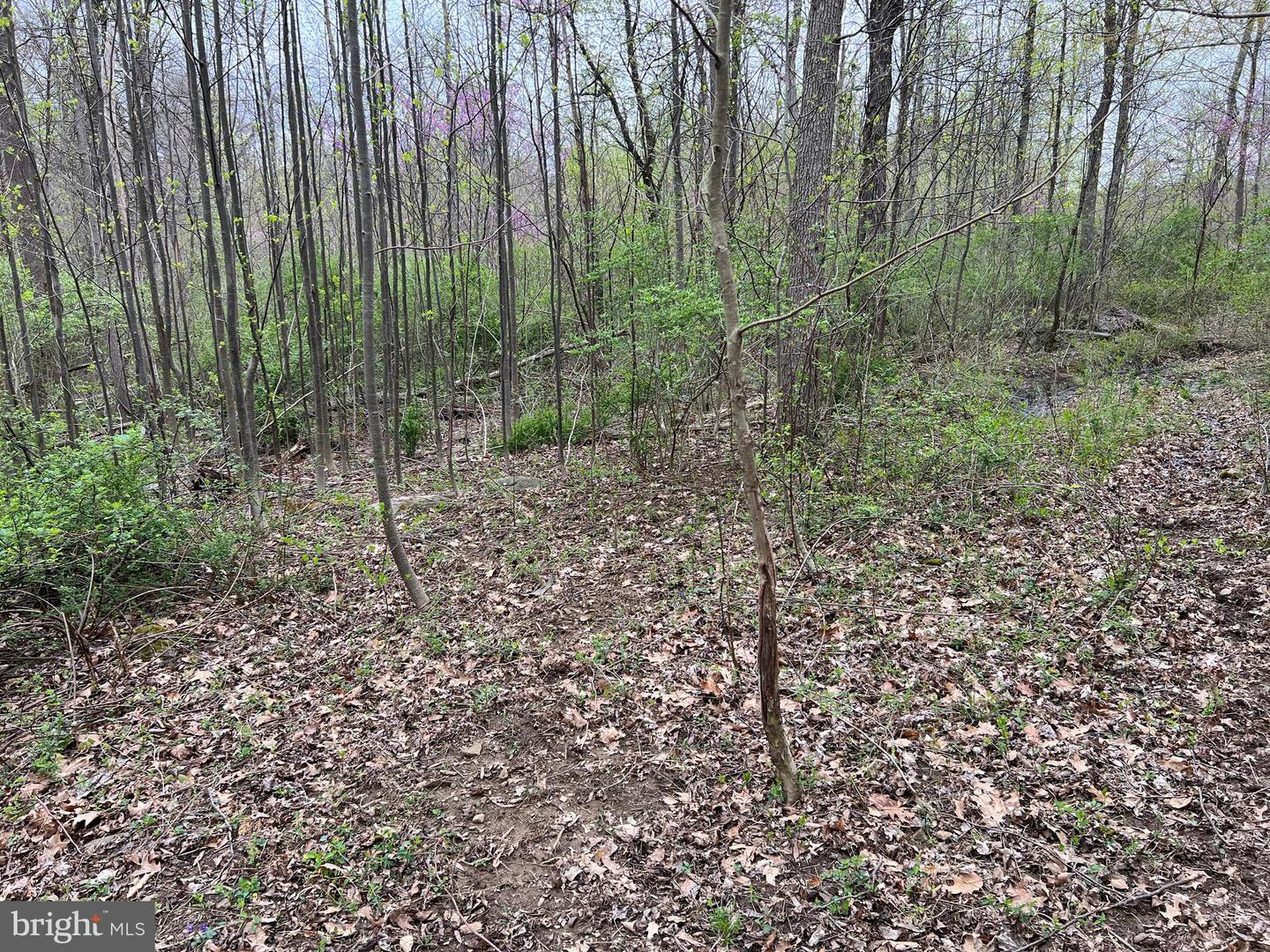 1005 Trail Rd N Property Photo 44