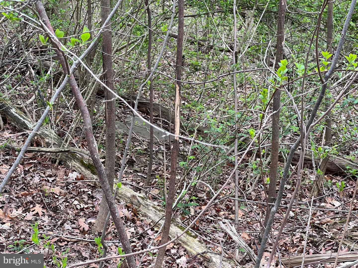 1005 Trail Rd N Property Photo 45