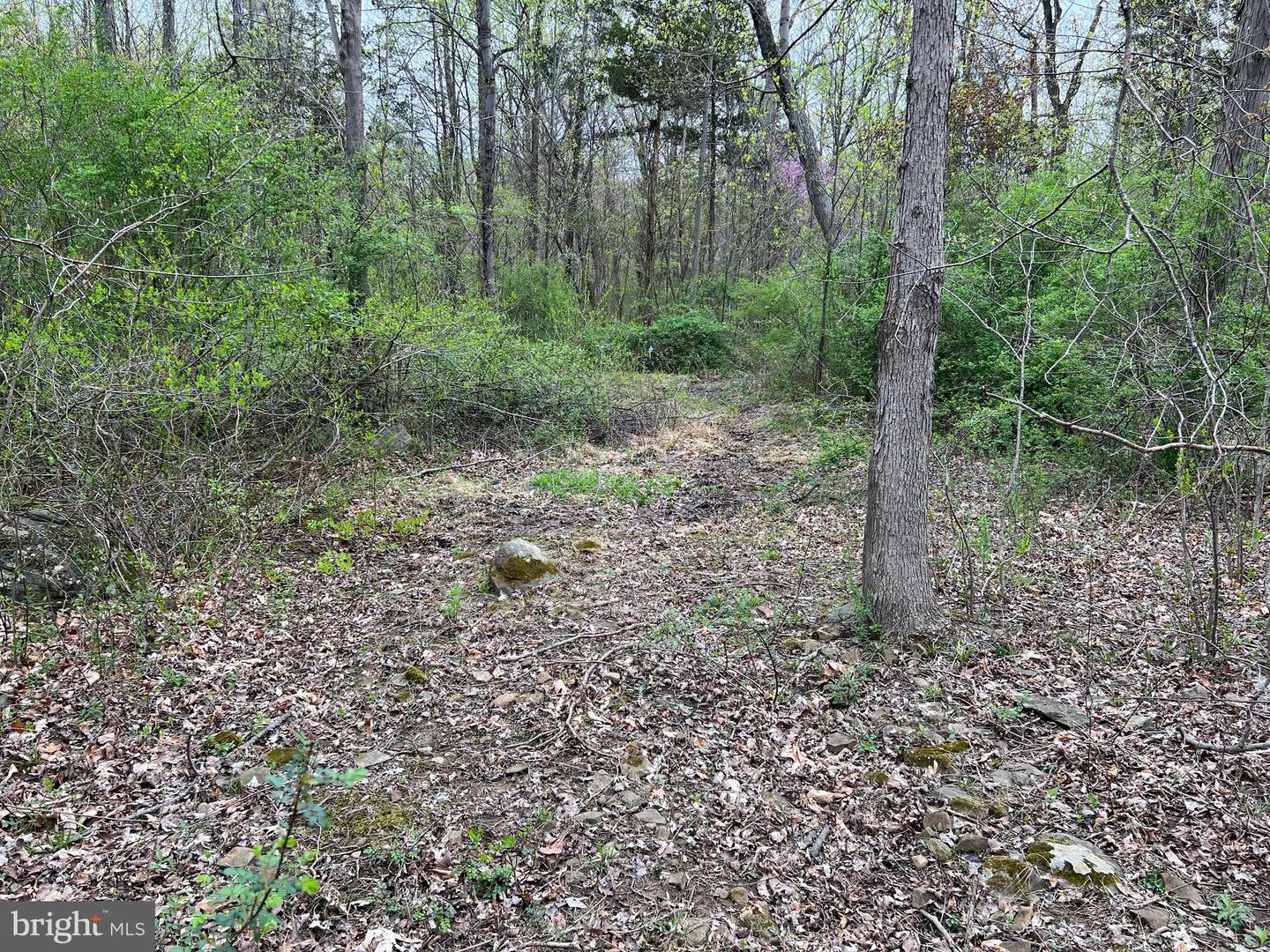 1005 Trail Rd N Property Photo 46