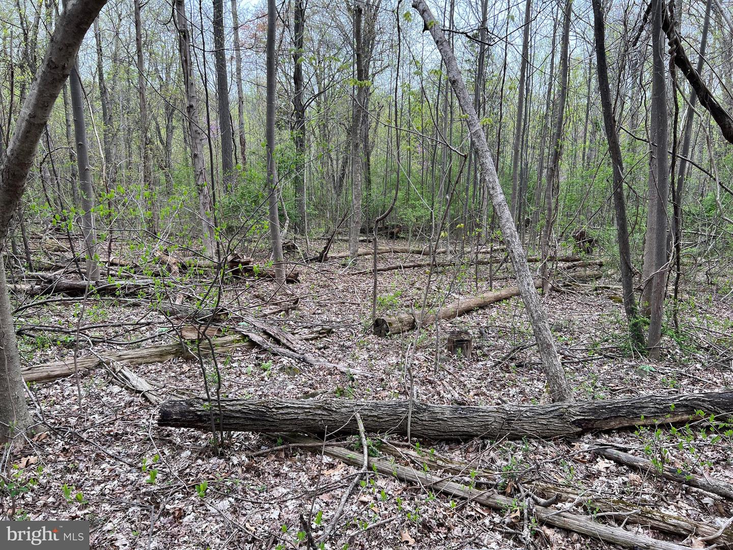 1005 Trail Rd N Property Photo 47