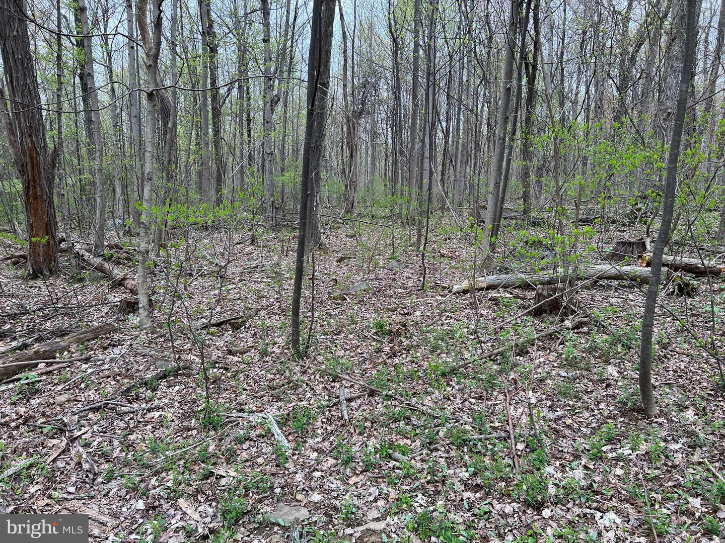 1005 Trail Rd N Property Photo 48