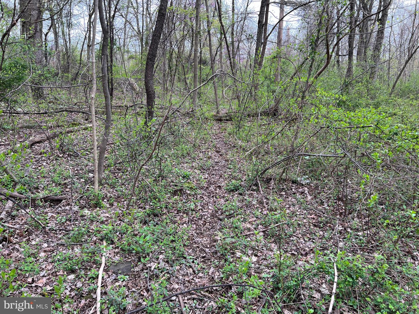 1005 Trail Rd N Property Photo 49