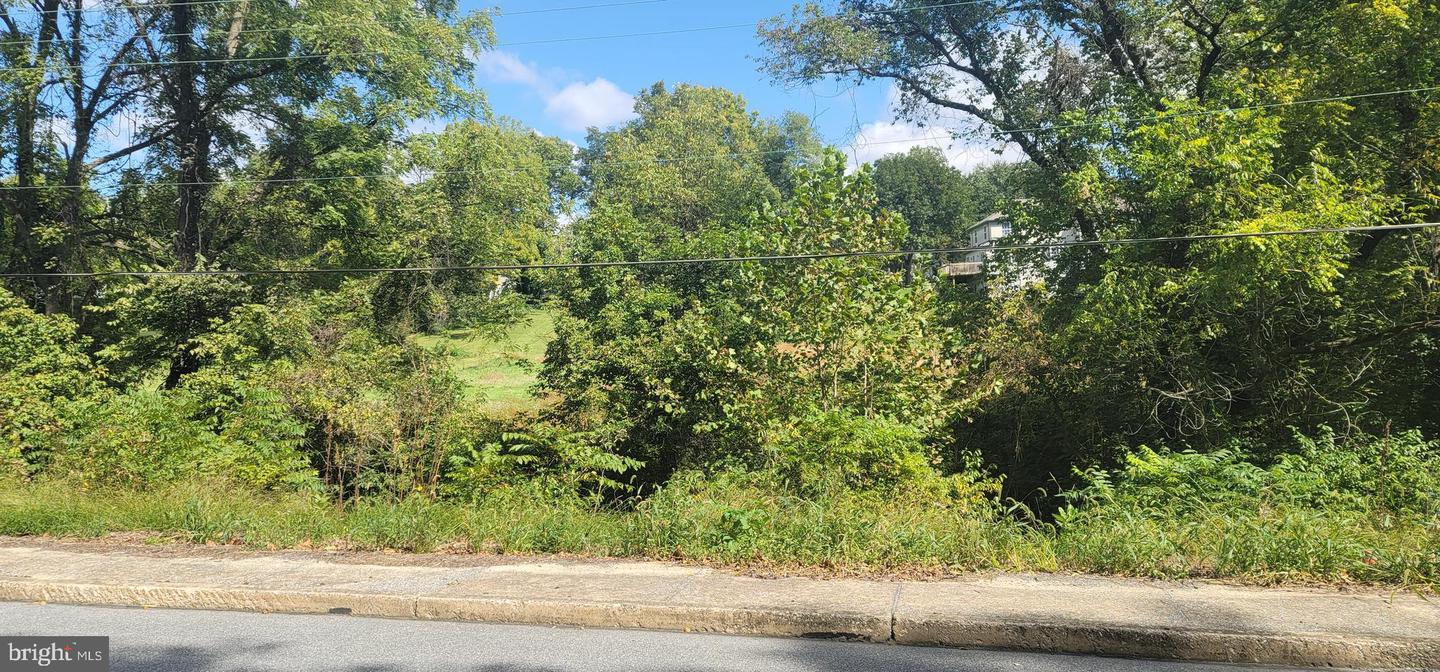 65 Slackwater Property Photo 3