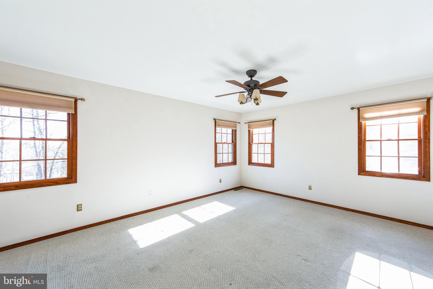 568 Friendship Dr Property Photo 14