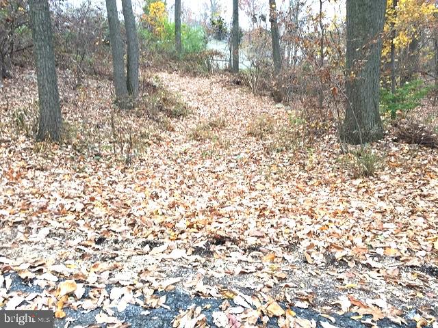 0 Hill Rd Property Photo 3