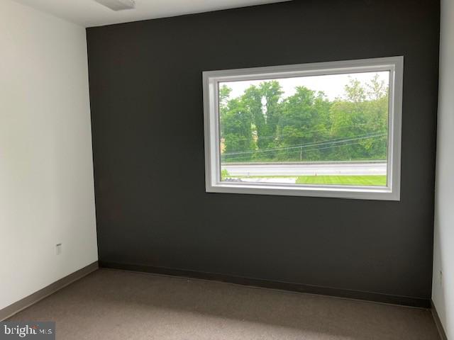 935 Chestnut St Property Photo 11